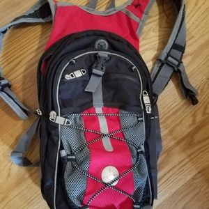 Backpack narrow and long padded and insulated